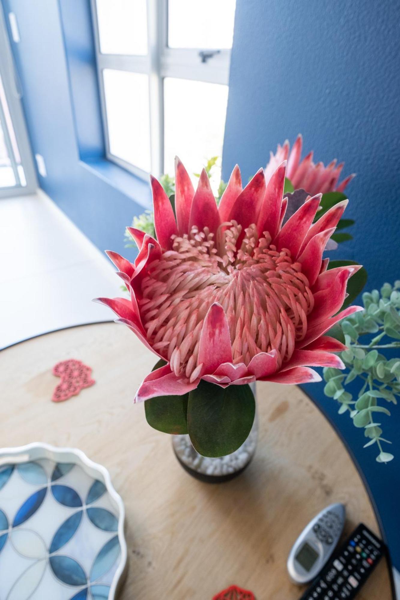 Apartamento The Rose 506: With Rooftop Pool Cidade Do Cabo